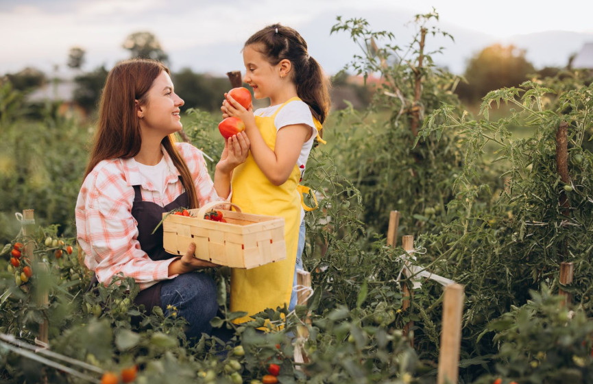Jeune fille accompagnée d'une femme dans un champ qui cueille des fruits